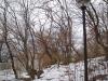 Недвижимость в Болгарии